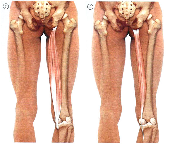 Файл:Mishci sport57.jpg