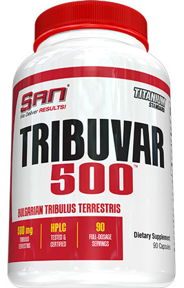 SAN Tribuvar-500.jpg