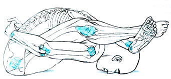 СУПТА- KVPMACAH - Перевернутая поза черепахи. Суставные капсулы отмечены голубым цветом.