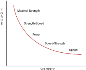 Force-velocity curve.png