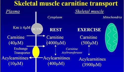 Melanotan 2 ���������: ����.