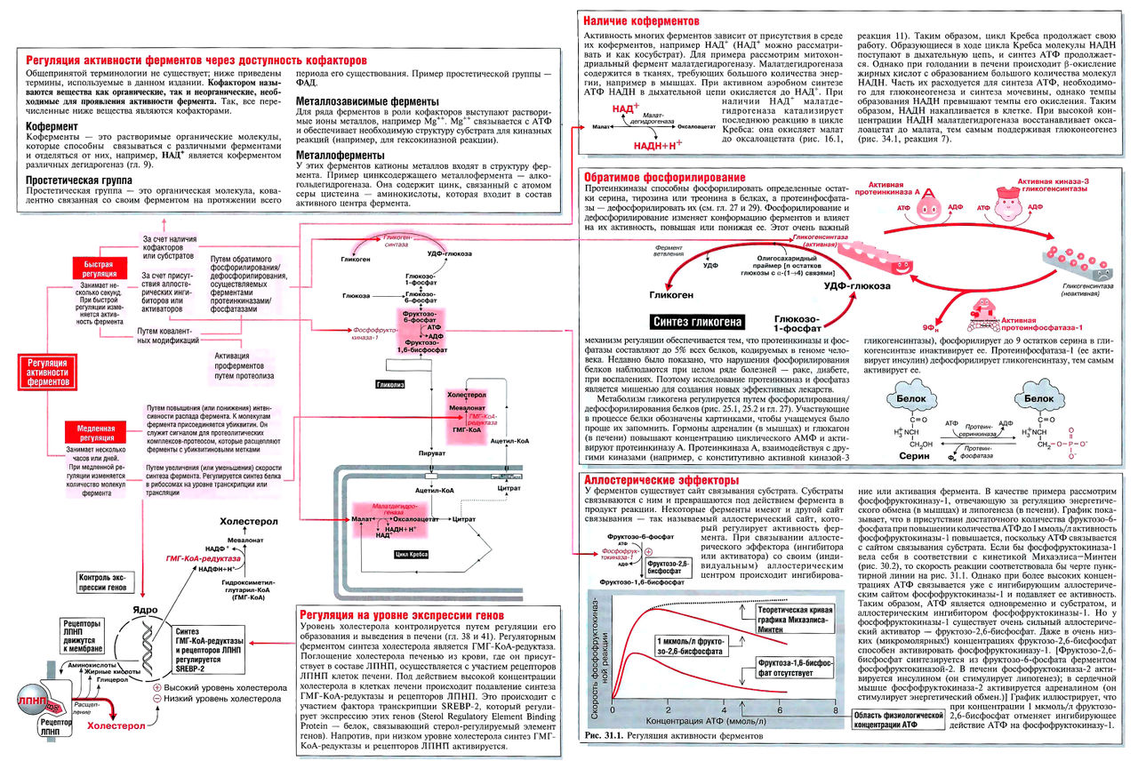 pdf the ai business the commercial uses of artificial intelligence 1984