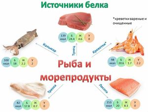Protein source fish.jpg