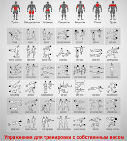 250px Bodyweight exercises chart