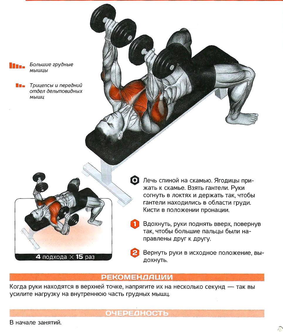 Упражнения для жима лежа. Жим гантелей лежа на скамье какие мышцы работают. Жим гантелей для грудных мышц. Жим гантелей на наклонной скамье какие мышцы работают. Жим лежа с гантелями какие мышцы работают.