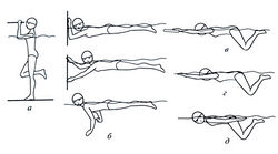 Упражнения для спины брасс thumbnail