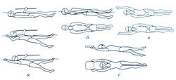 Подводящие упражнения в плавании кролем на спине thumbnail