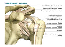 Растяжение связок плеча (лечение)