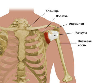 Лечение спортивных травм плечевого сустава